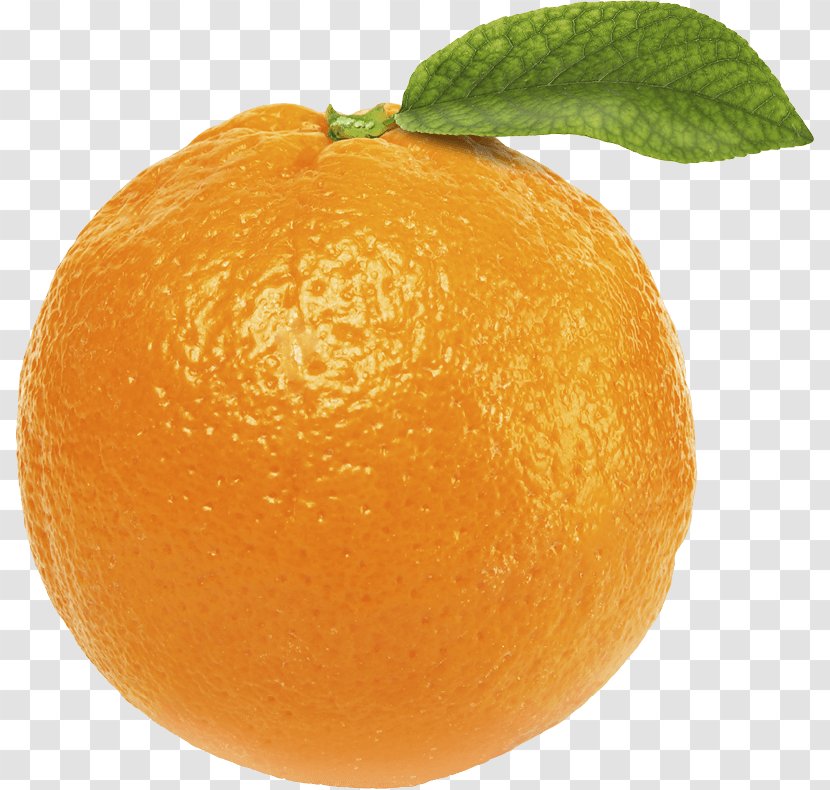 Orange Juice Tangerine Fruit - Slice - Image Download Transparent PNG