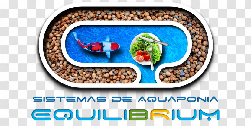 Aquaponics Agroecology Agribusiness Siphon Product - Food - Human Feferi Peixes Transparent PNG