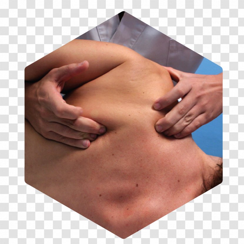Shoulder Massage Fascia Muscle Nerve - Frame - Tissue Transparent PNG