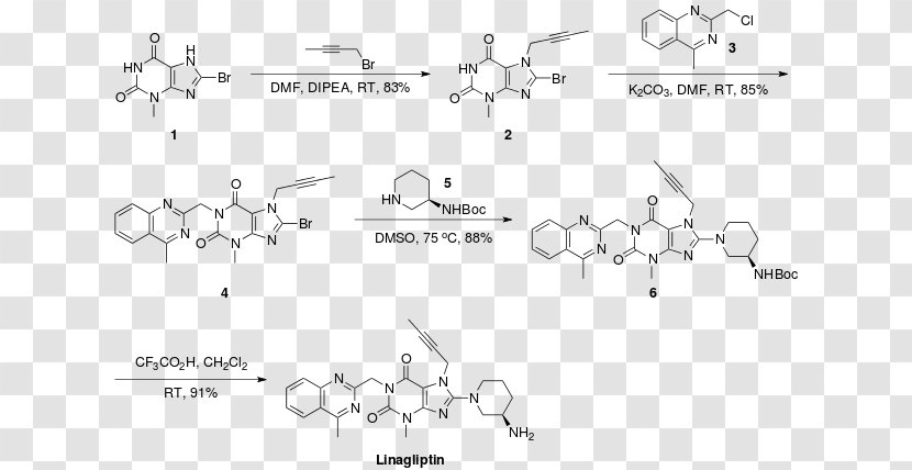 Linagliptin Dipeptidyl Peptidase-4 Inhibitor Chemical Synthesis Metformin - Heart - Frame Transparent PNG