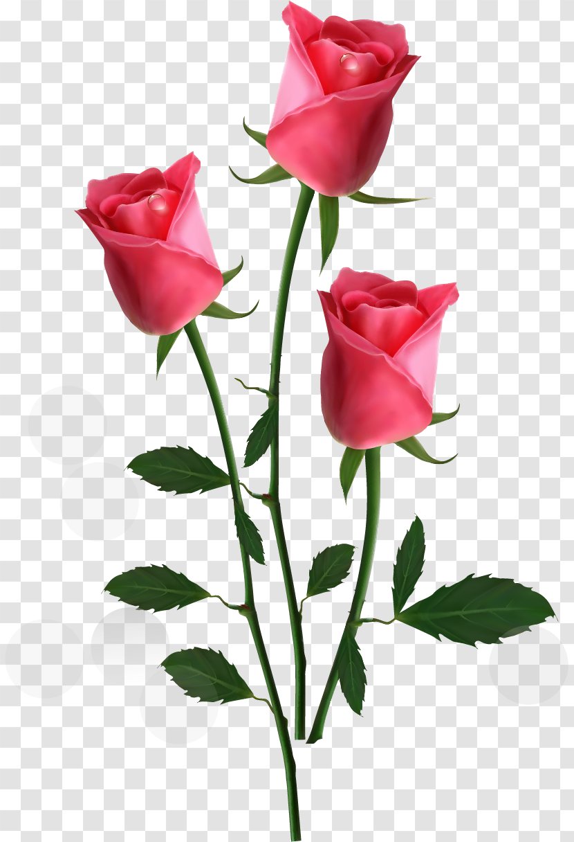 Rose Flower Pink Clip Art - Wreath Transparent PNG