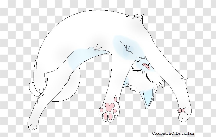 Canidae Drawing Marine Mammal Sketch - Flower - Calico Cat Transparent PNG