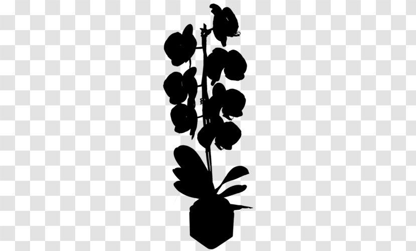 Flowering Plant Font Silhouette Leaf - Botany - Flower Transparent PNG