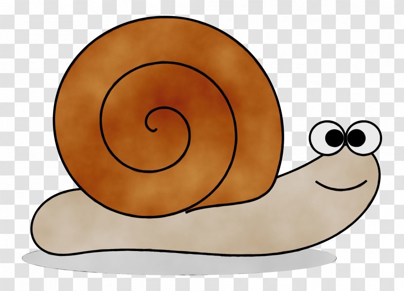 Snail Cartoon - Watercolor - Invertebrate Slug Transparent PNG