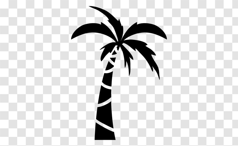 Drawing Arecaceae Cartoon Clip Art - Black And White - Coconut Tree Vector Transparent PNG