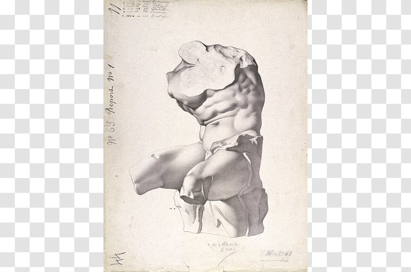 Charles Bargue Drawing Course Belvedere Torso Lithography Painting - Fine Art Transparent PNG