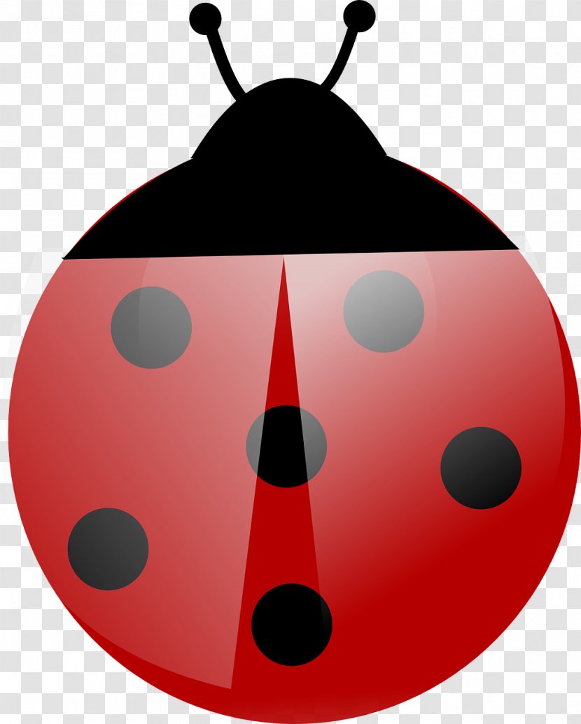 Beetle Ladybird Clip Art - Ladybug Transparent PNG