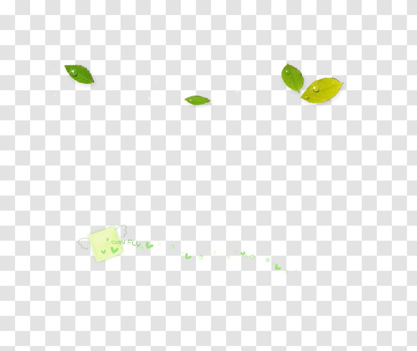 Green Desktop Wallpaper Leaf - Grass Transparent PNG