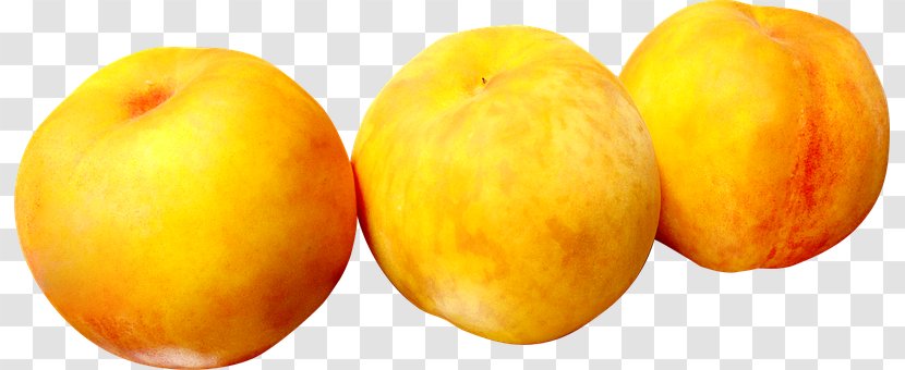 Peach Fruit Image Apricot - Flower - Ad Transparent PNG