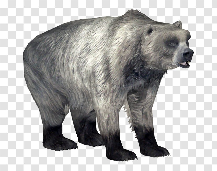 Zoo Tycoon 2 Polar Bear Kodiak Grizzly Ursus Maritimus Tyrannus Transparent PNG