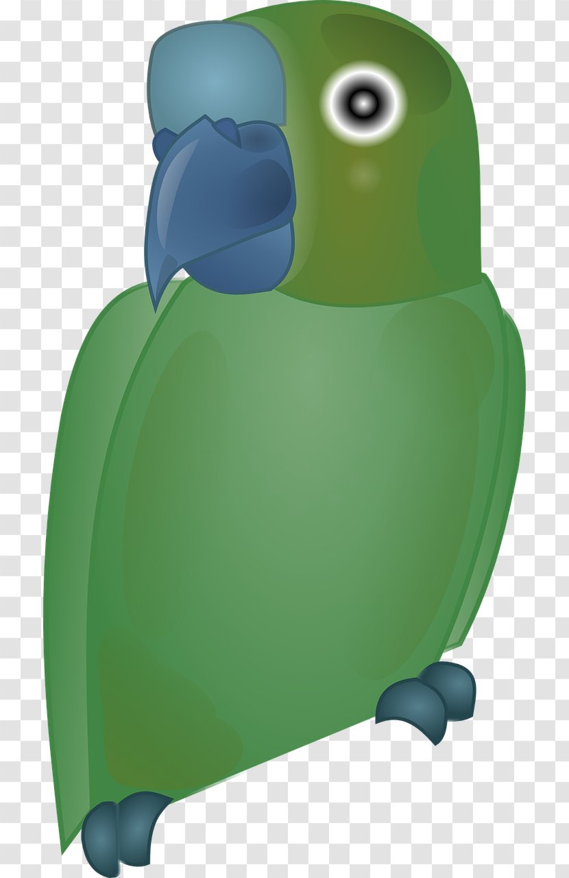 Bird Parrot Penguin Clip Art - Flightless - Green Transparent PNG
