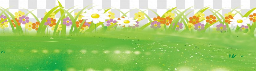 Download Computer File - Flower - Grass Background Transparent PNG