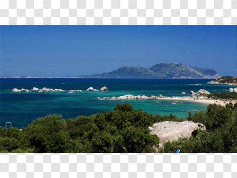Sardinia Corsica Beach Island Emerald Coast - Caribbean - Da Capo Transparent PNG