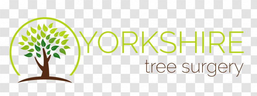 Yorkshire Tree Surgery / Care Hull And Brand Bespoke Inspiration Ltd Industry - East Riding Of Transparent PNG