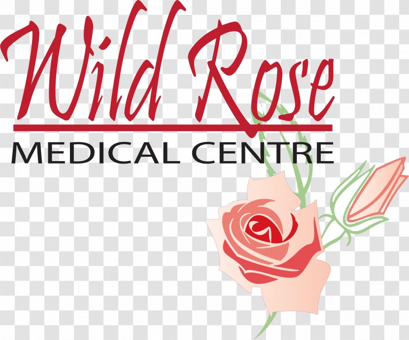 Garden Roses Wild Rose Medical Centre Medicine Product Naming - Floristry Transparent PNG