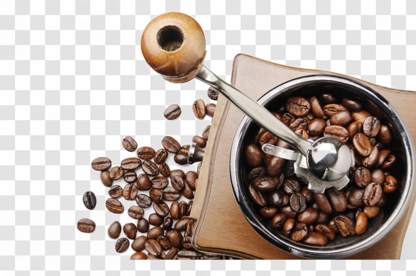 Coffee Bean Espresso Tea Cafe - Cup - Grinder Transparent PNG