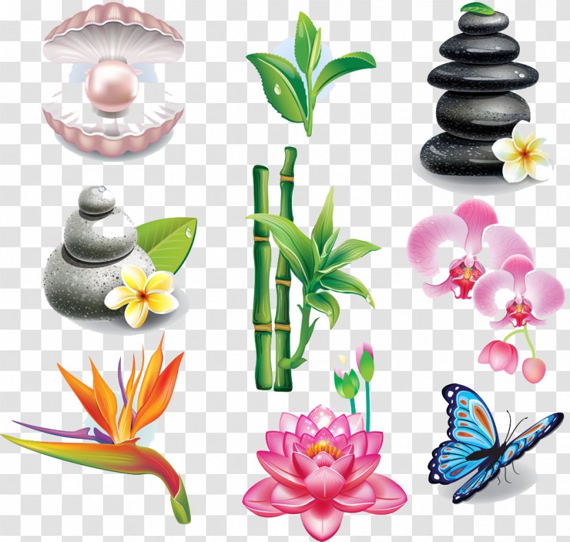 Spa Beauty Parlour Massage Symbol - Flora - SPA Health Transparent PNG