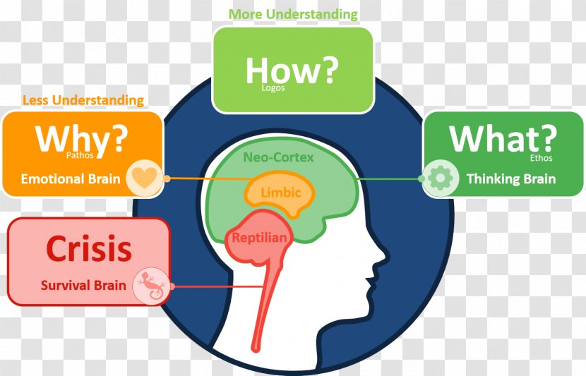 Triune Brain Limbic System Learning Neurotransmitter - Tutorial Transparent PNG