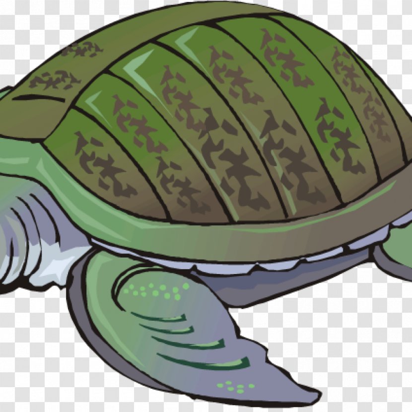 Green Sea Turtle Clip Art Tortoise - Shell - Ninja Turtles Transparent PNG