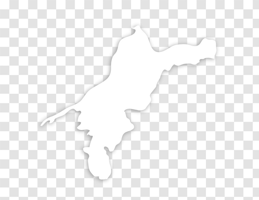 Black - And White - Japan Map Illustration Transparent PNG