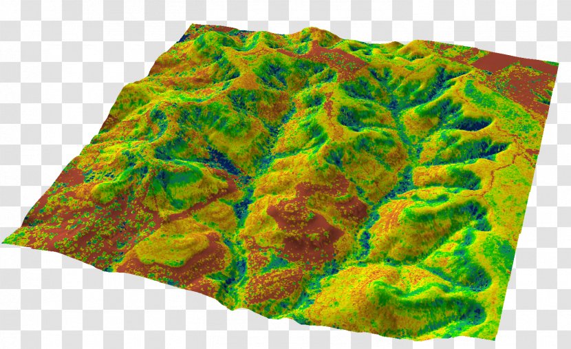 Lidar Remote Sensing Topography Soil Survey Geospatial Analysis - Organism - Turf Transparent PNG