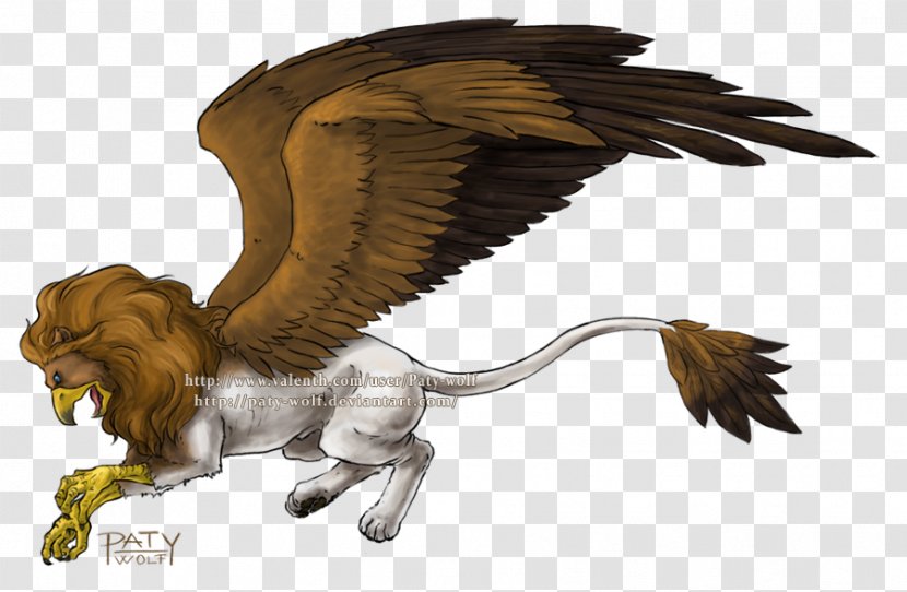 Gray Wolf Griffin Lion Drawing Legendary Creature - Wing Transparent PNG