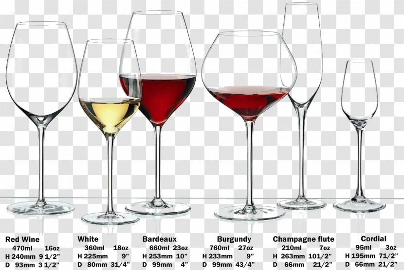 Wine Glass Champagne Burgundy - Stemware - Celebratory Transparent PNG