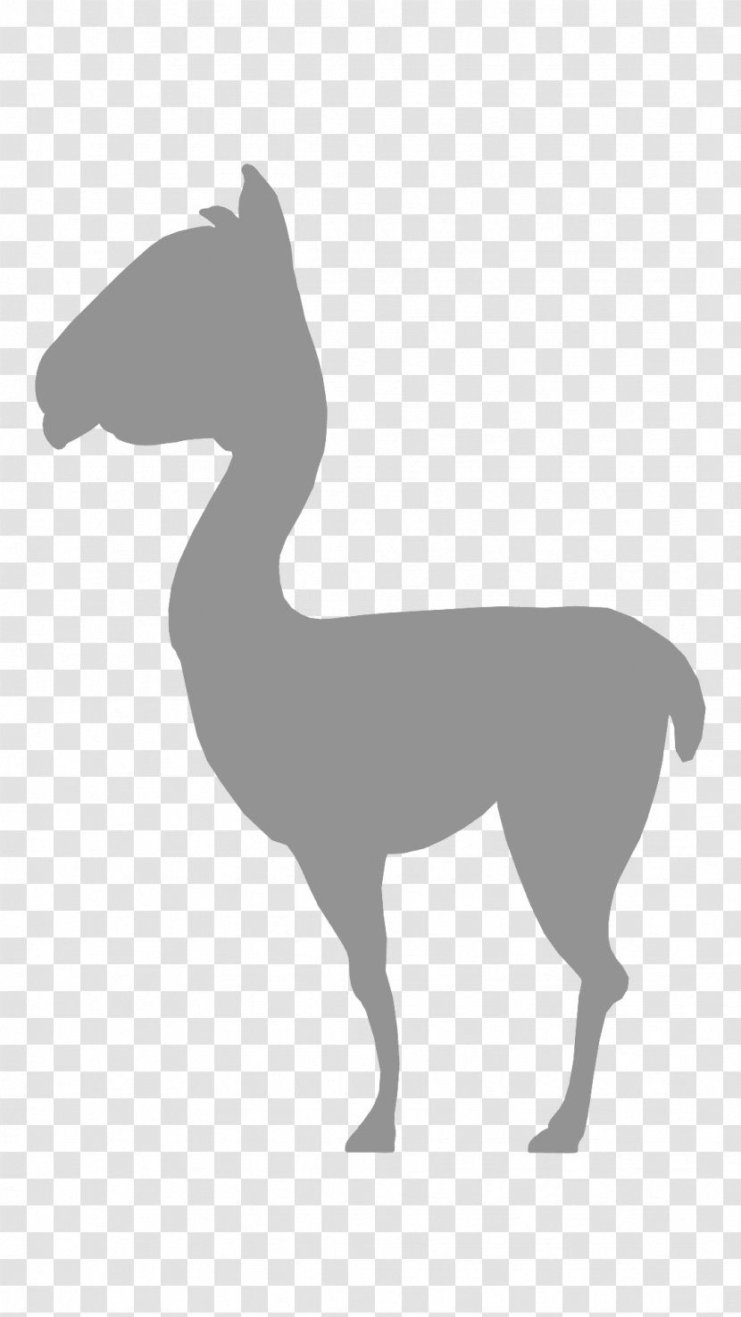 Horse Canidae Camel Dog Pack Animal - Black And White Transparent PNG