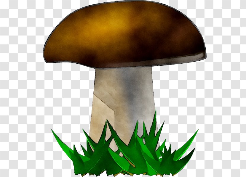 Clip Art Openclipart Free Content Mushroom - Lamp - Bolete Transparent PNG