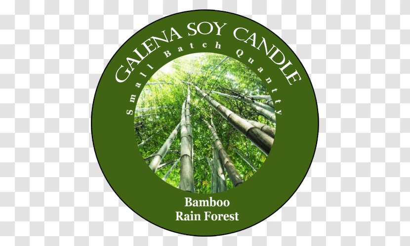 Soy Candle Light Air Fresheners Room - Bamboo Forest Transparent PNG