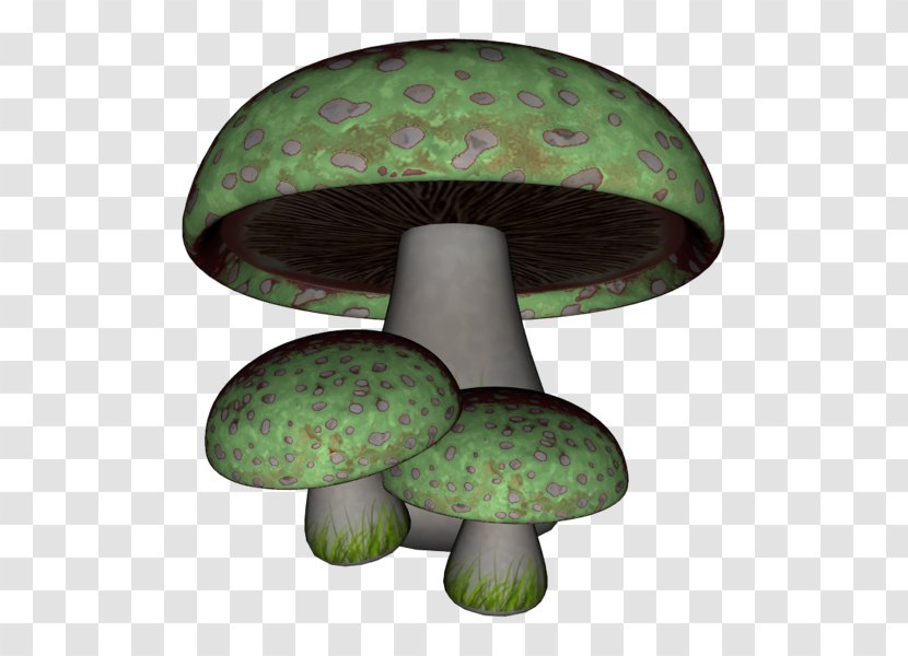 Mushroom Green Fungus Gratis - Mushrooms Transparent PNG