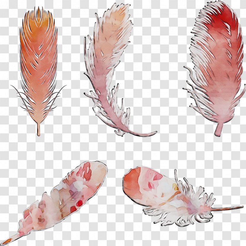 Feather Seafood - Wing Transparent PNG