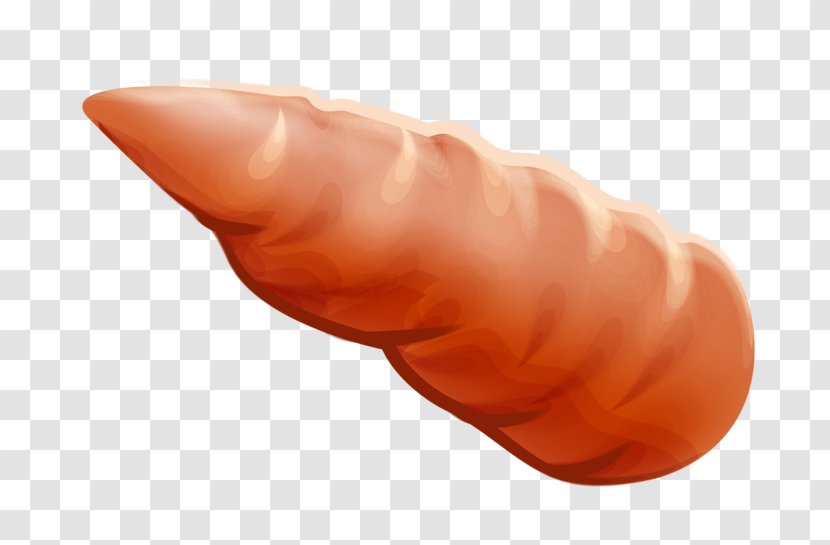 Carrot Orange - Peach - A Transparent PNG