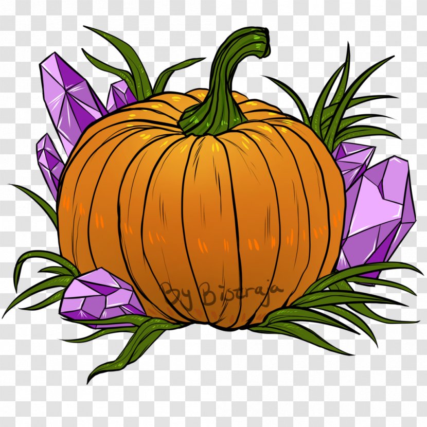 Jack-o'-lantern Calabaza Winter Squash Pumpkin Clip Art - Floral Design Transparent PNG