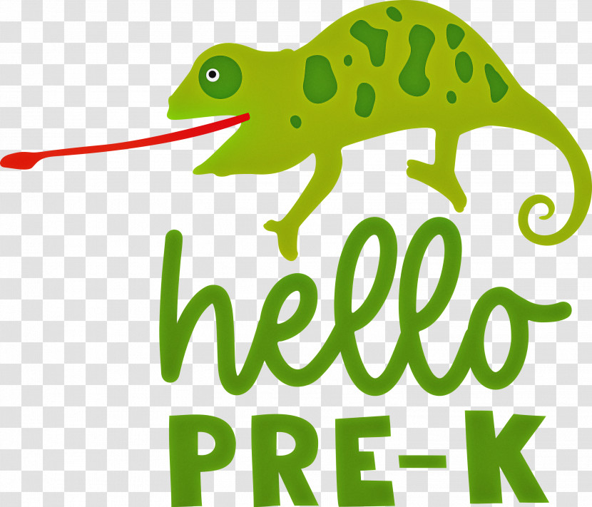 HELLO PRE K Back To School Education Transparent PNG