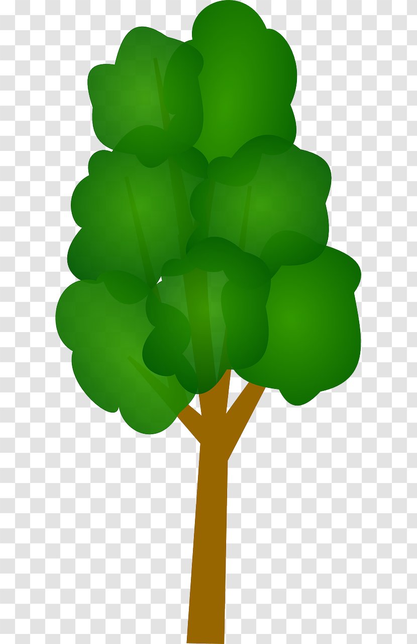 Clip Art Vector Graphics Tree Illustration - Green Transparent PNG