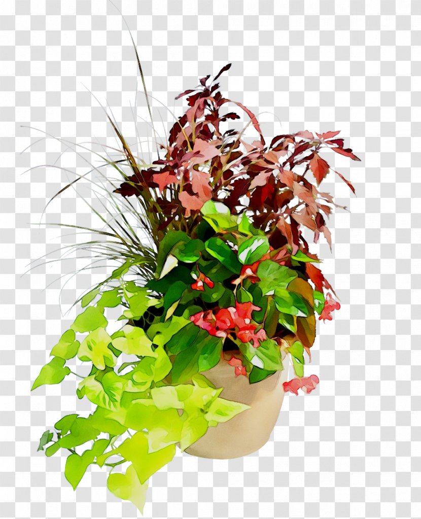 Floral Design Flowerpot Houseplant Leaf - Flower - Flowering Plant Transparent PNG