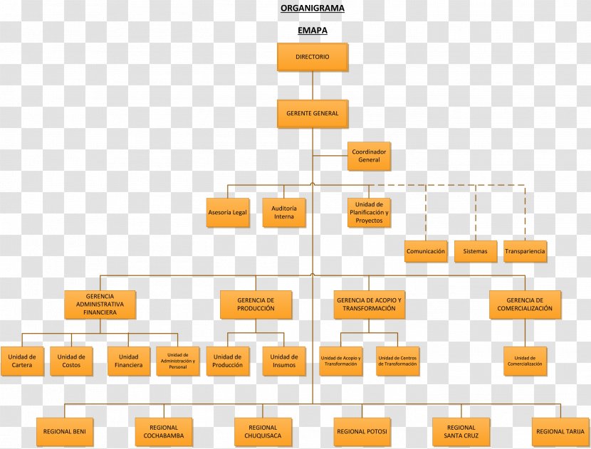 Organizational Chart Diagram Structure Empresa - Grams Transparent PNG