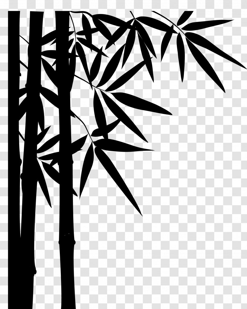 Palm Tree Drawing - Plant Stem - Stencil Twig Transparent PNG