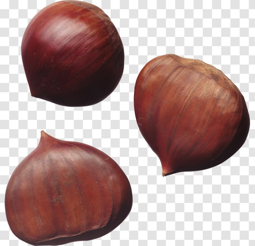 Nuts Hazelnut Chestnut - Walnut - Vegetables Onion Transparent PNG