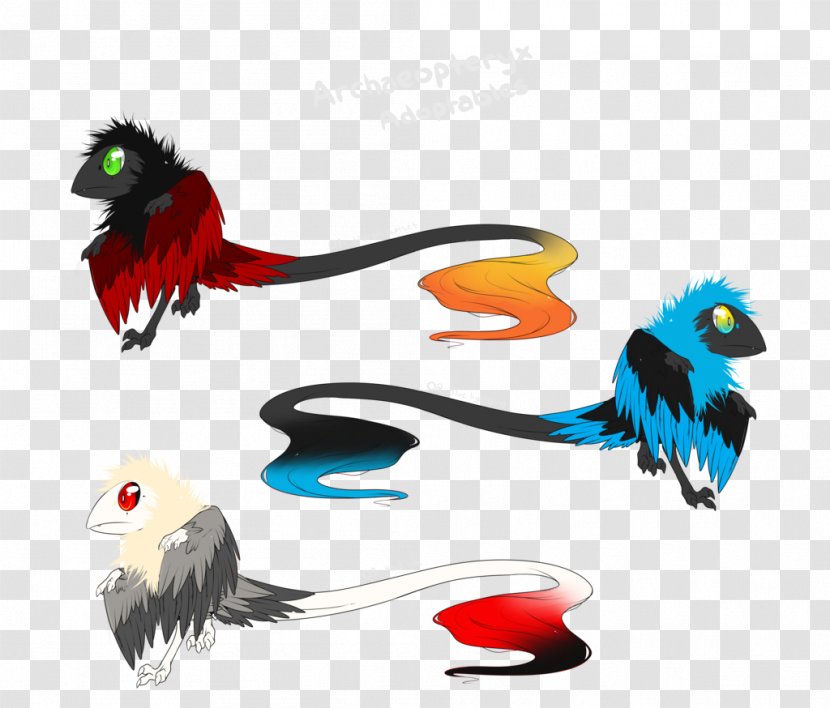Beak Feather Tail Clip Art - Wing Transparent PNG