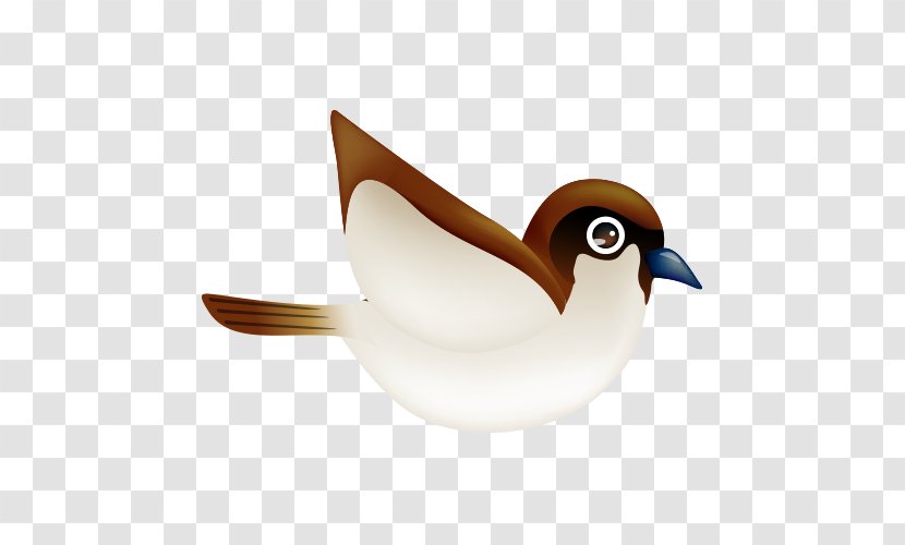 Bird Flight - Flying The Transparent PNG