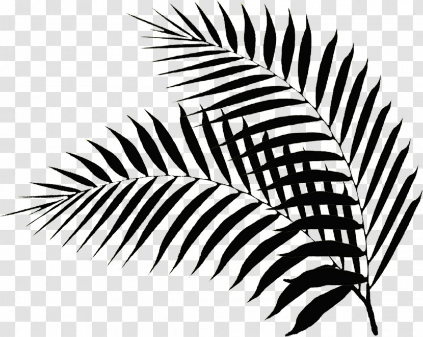 Palm Branch Leaf Hotel Sunday Photography - Monochrome - Leaves Transparent PNG