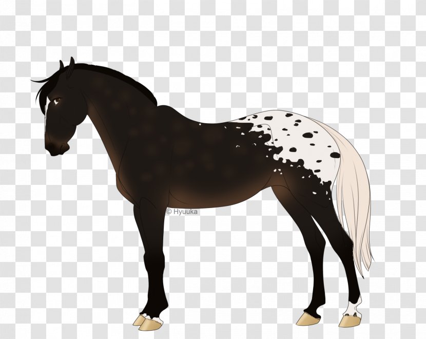 Mane Mustang Stallion Pony Mare - Mammal Transparent PNG