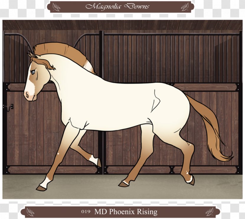 Mustang Mane Foal Pony Mare - English Riding Transparent PNG
