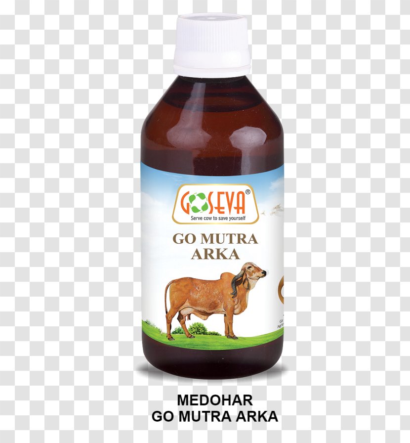 Cattle Gomutra Urine Panchagavya Cow Dung - Milliliter - Giloy Transparent PNG
