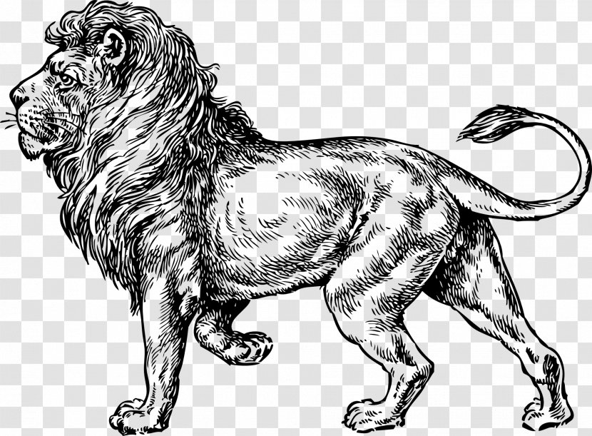 Lionhead Rabbit Tattoo Drawing Clip Art - Tail - Lions Head Transparent PNG