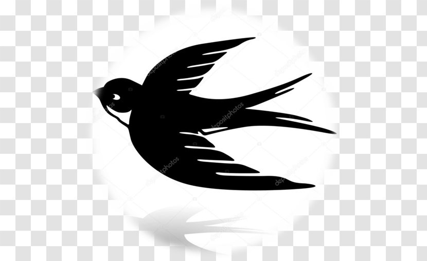 Barn Swallow Edible Bird's Nest Vector Graphics - Tattoo - Bird Transparent PNG