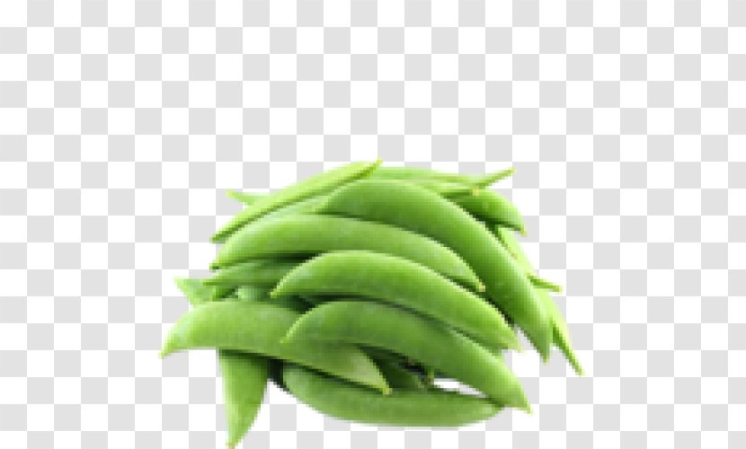 Snap Pea Green Bean Common Vegetable - Fruit Transparent PNG