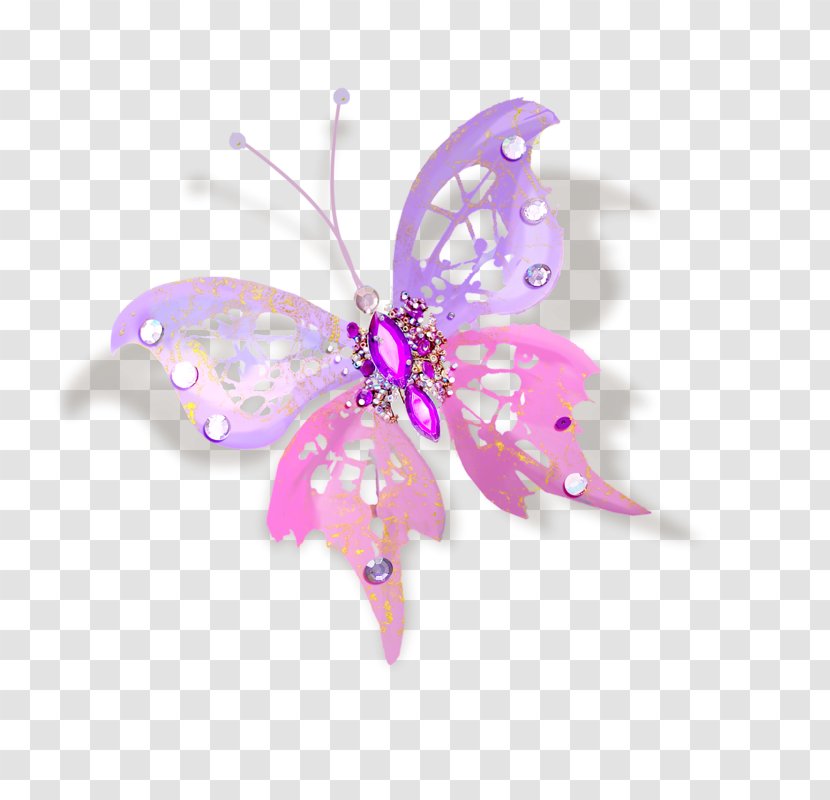 Butterfly - Paper - Insect Transparent PNG